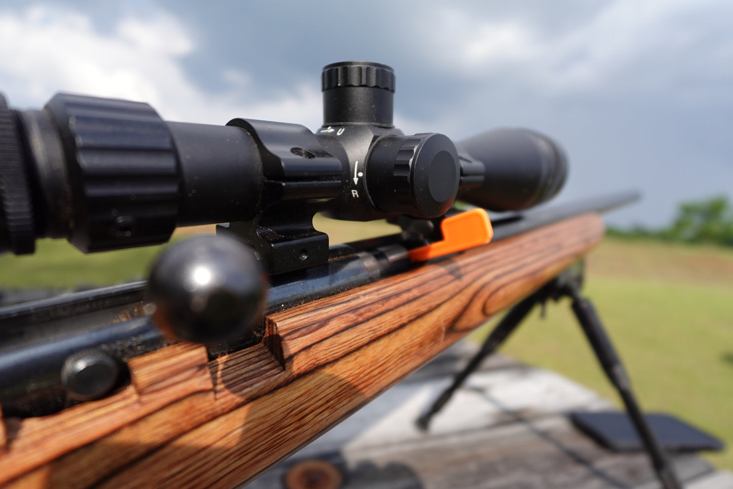 Chamber Flags ( 22LR)